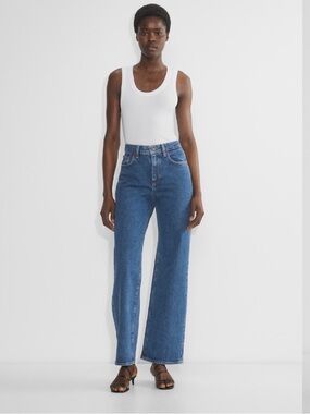 Aritzia Denim Forum Straight Leg Jeans in Classic Blue